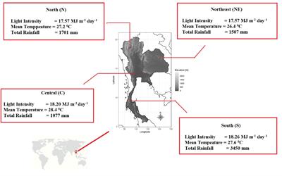 Variations in mitragynine content in the naturally growing Kratom (Mitragyna speciosa) population of Thailand